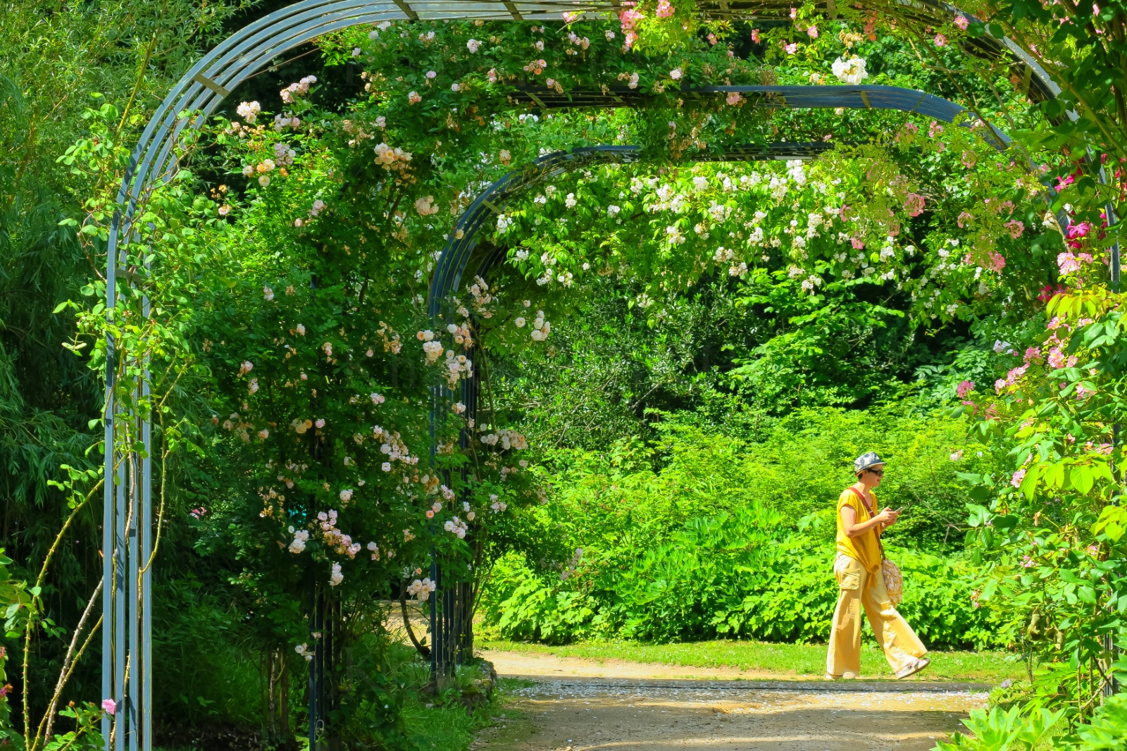 Khaledfrikha photographe evenementiel nancy lorraine IMG 2305094