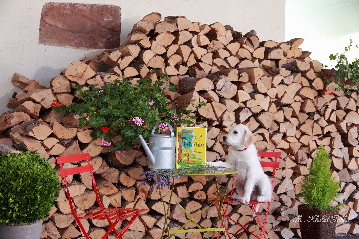 Kfrikha photographe hotellerie exterieur01