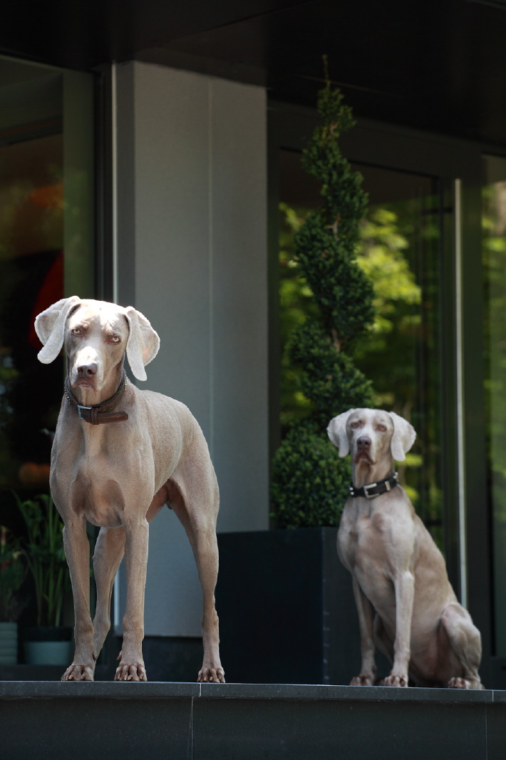 Kfrikha photographe hotellerie exterieur09