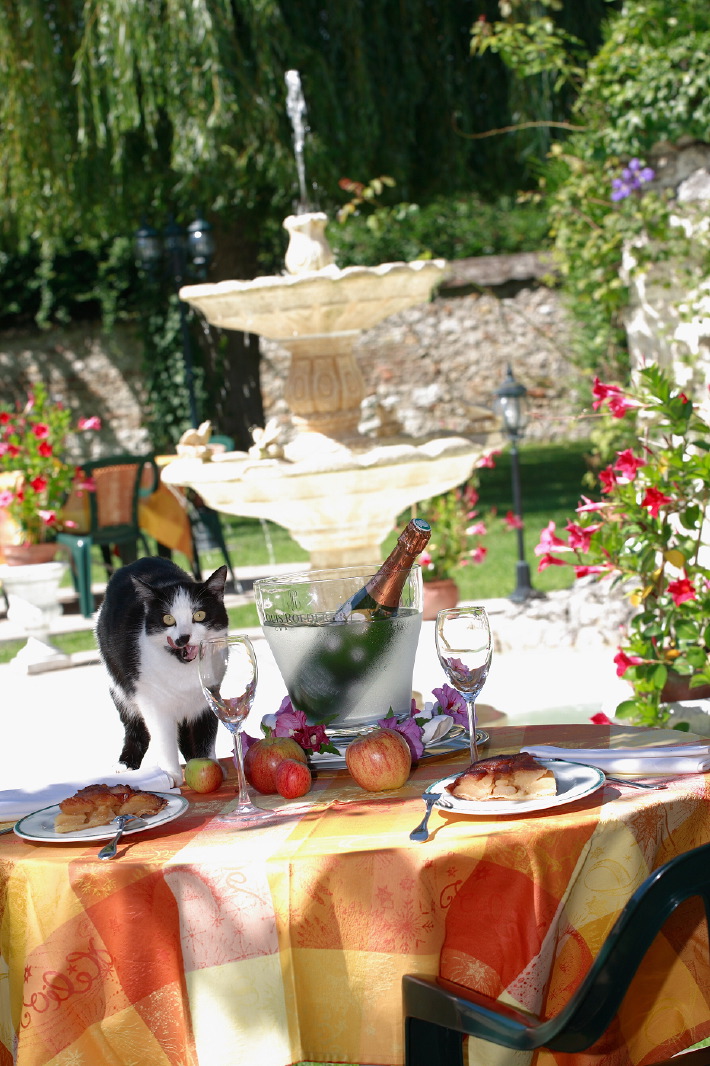 Kfrikha photographe hotellerie exterieur39