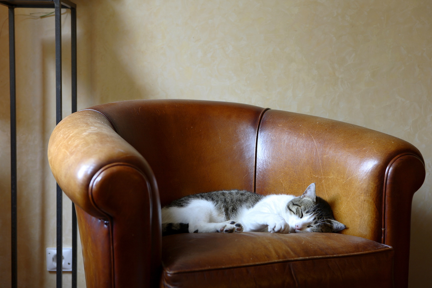 Kfrikha photographe hotellerie réception30