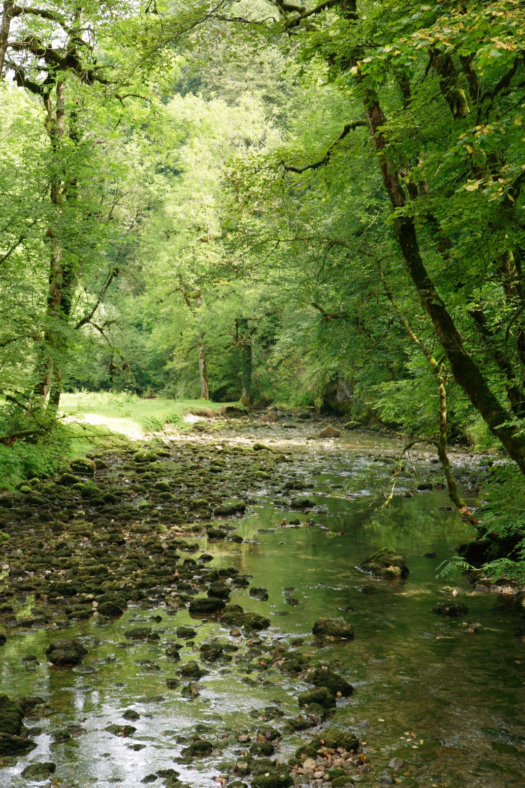 Kfrikha photographe paysage nature29