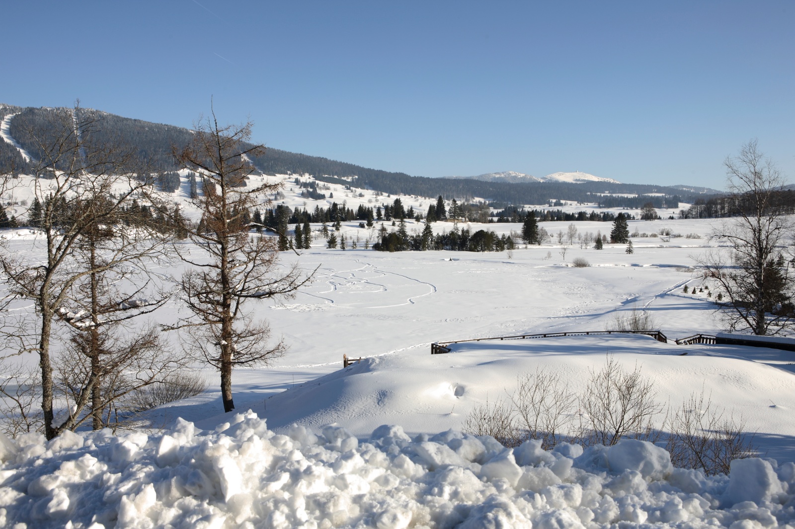 Photographe professionel Nancy -Neige  en France