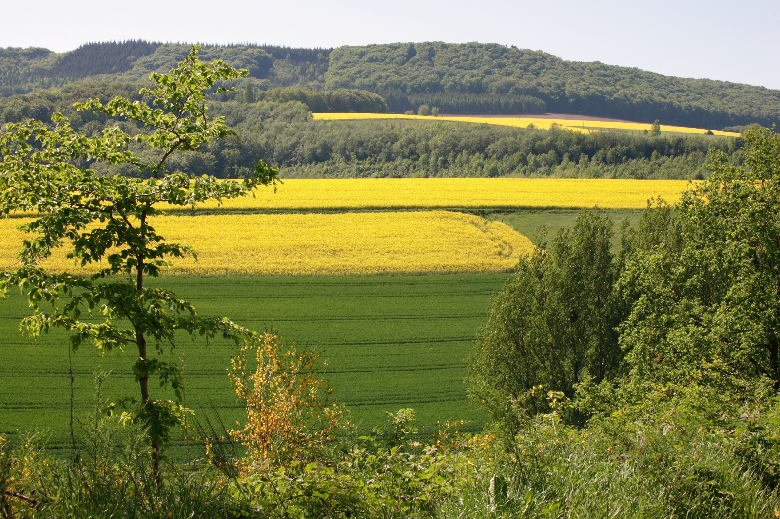Kfrikha photographe paysage nature49