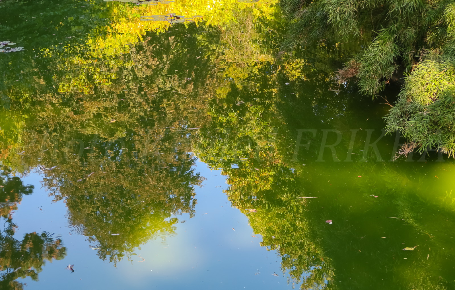 Kfrikha photographe paysage01