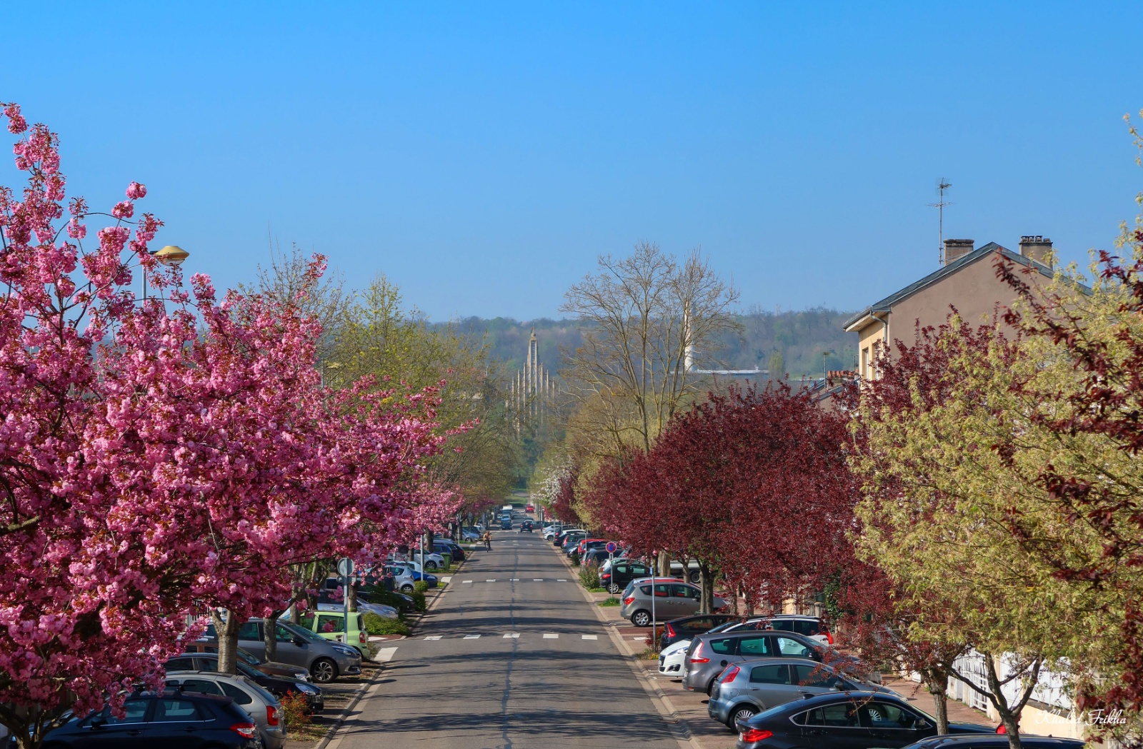 Khaledfrikha photographe evenementiel nancy lorraine IMG 0370 Panorama212