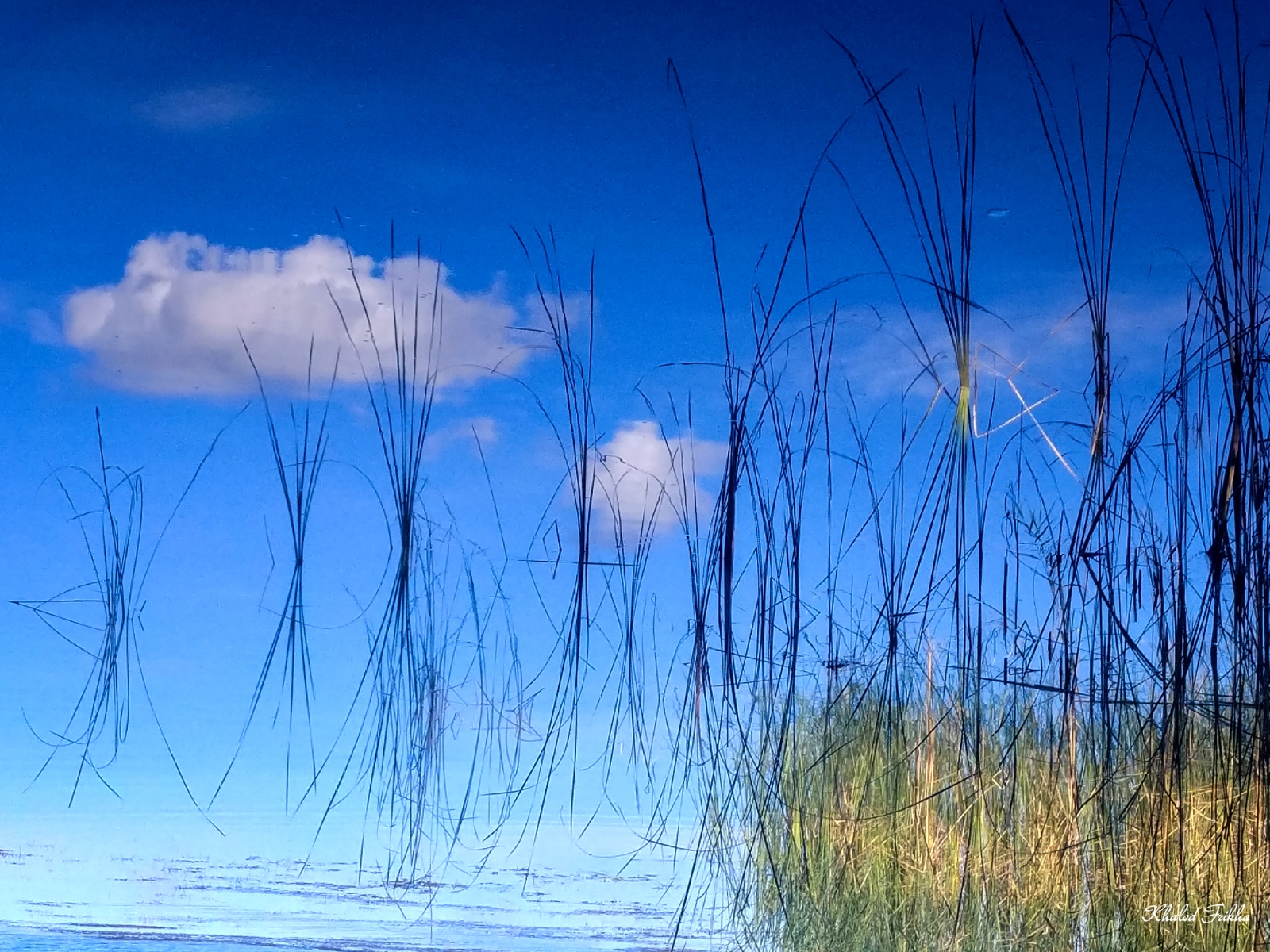 Khaledfrikha photographe paysage nancy lorraine 20180826 104243 HDR008