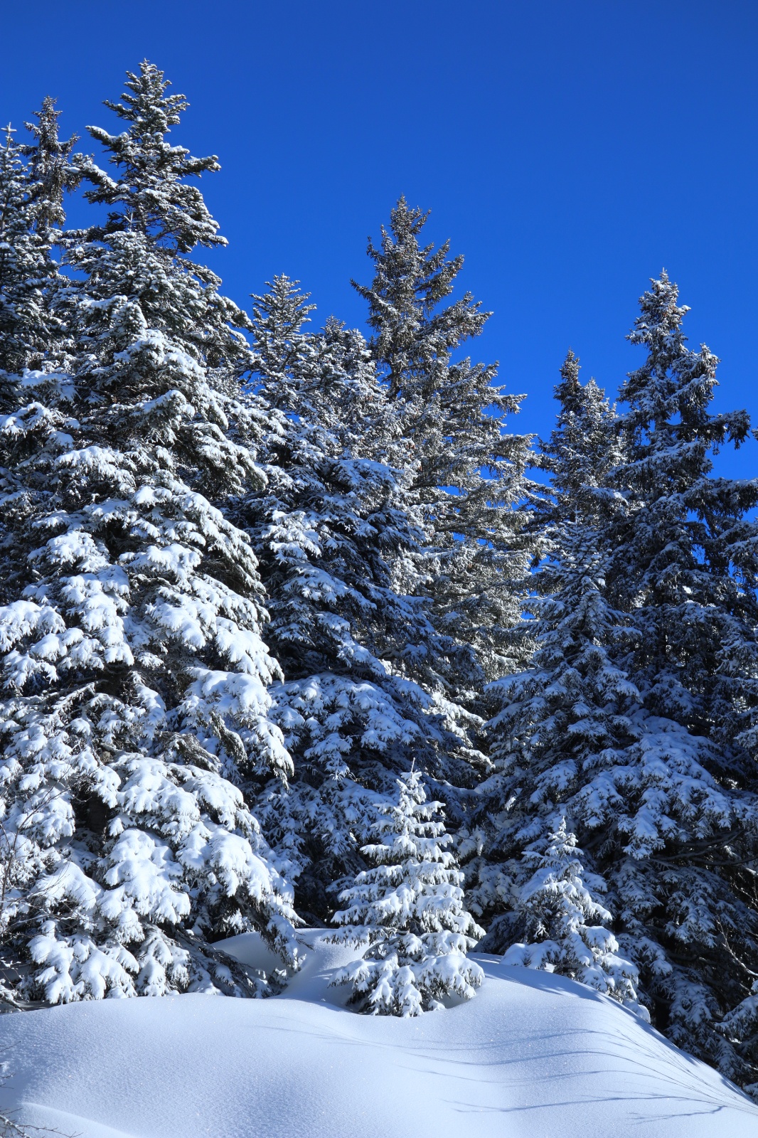 Khaledfrikha photographe paysage nancy lorraine IMG 0469003