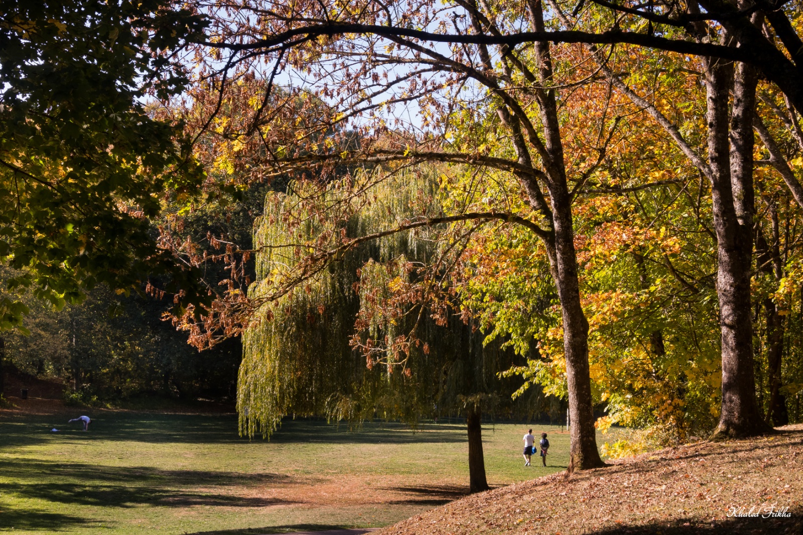 Khaledfrikha photographe paysage nancy lorraine IMG 5900015