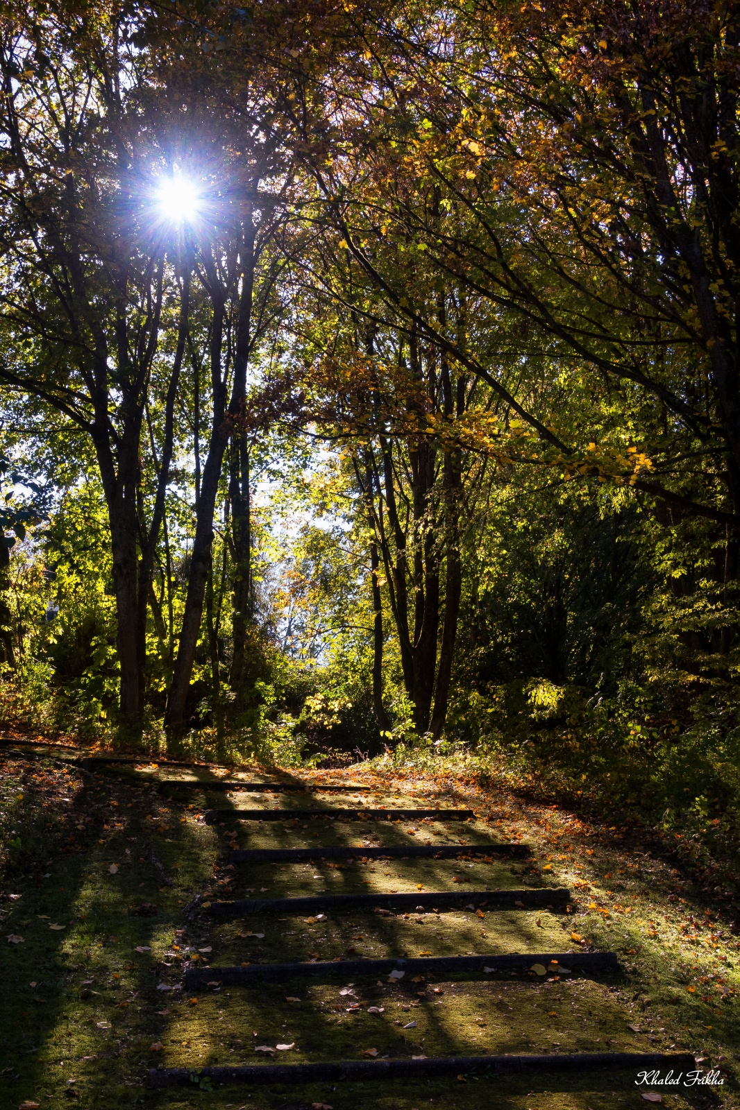 Khaledfrikha photographe paysage nancy lorraine IMG 5929016
