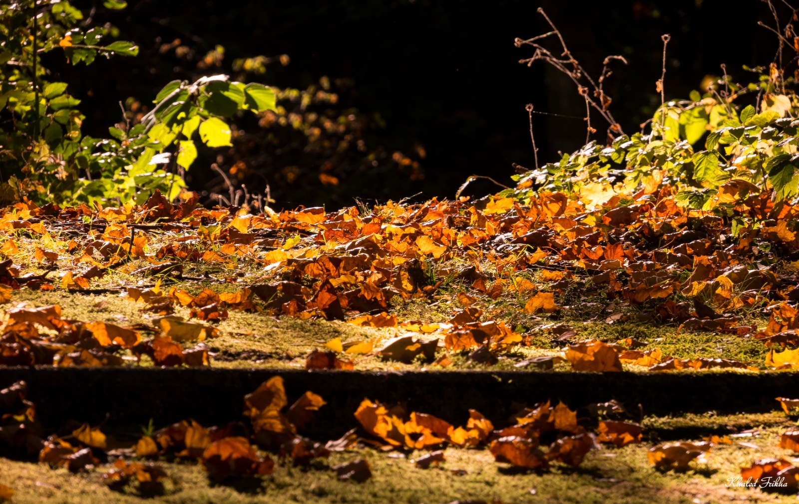 Khaledfrikha photographe paysage nancy lorraine IMG 5944017