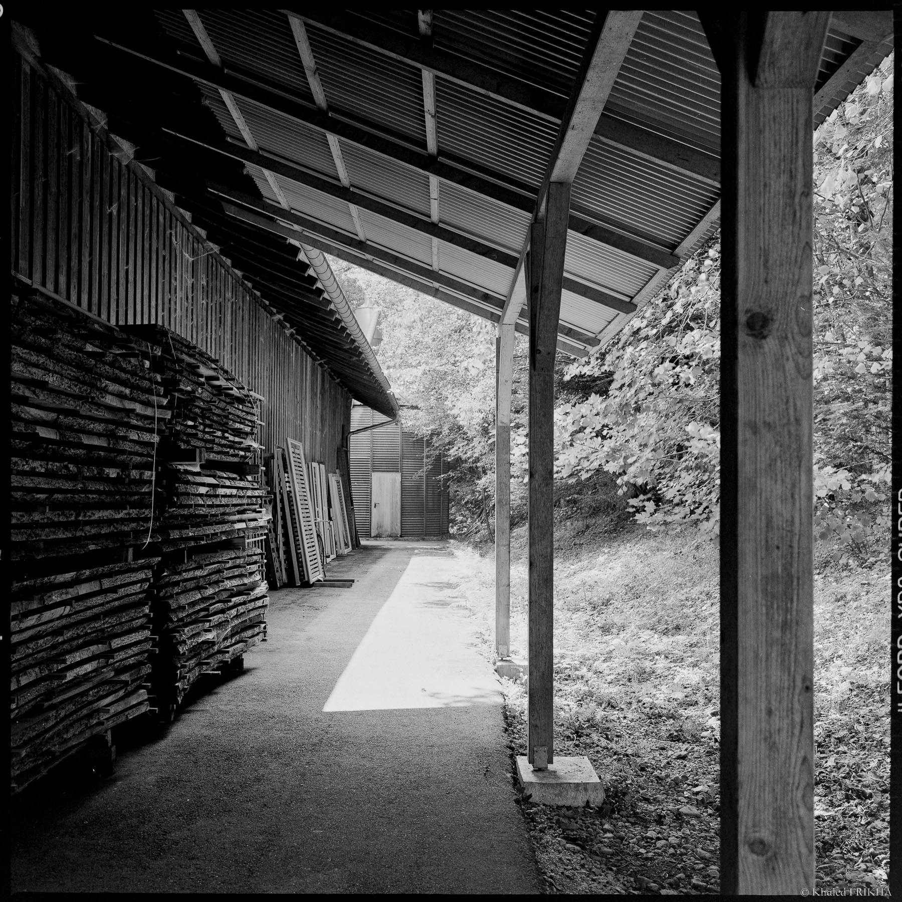 Test rolleiflex 3.5f planar 8 2022 2