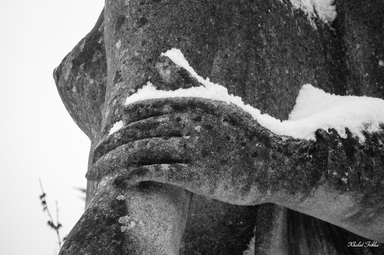 Khaledfrikha photographe personnel nancy lorraine IMG 6460047015